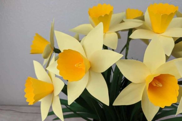 3D Paper Daffodil - Social Canvas