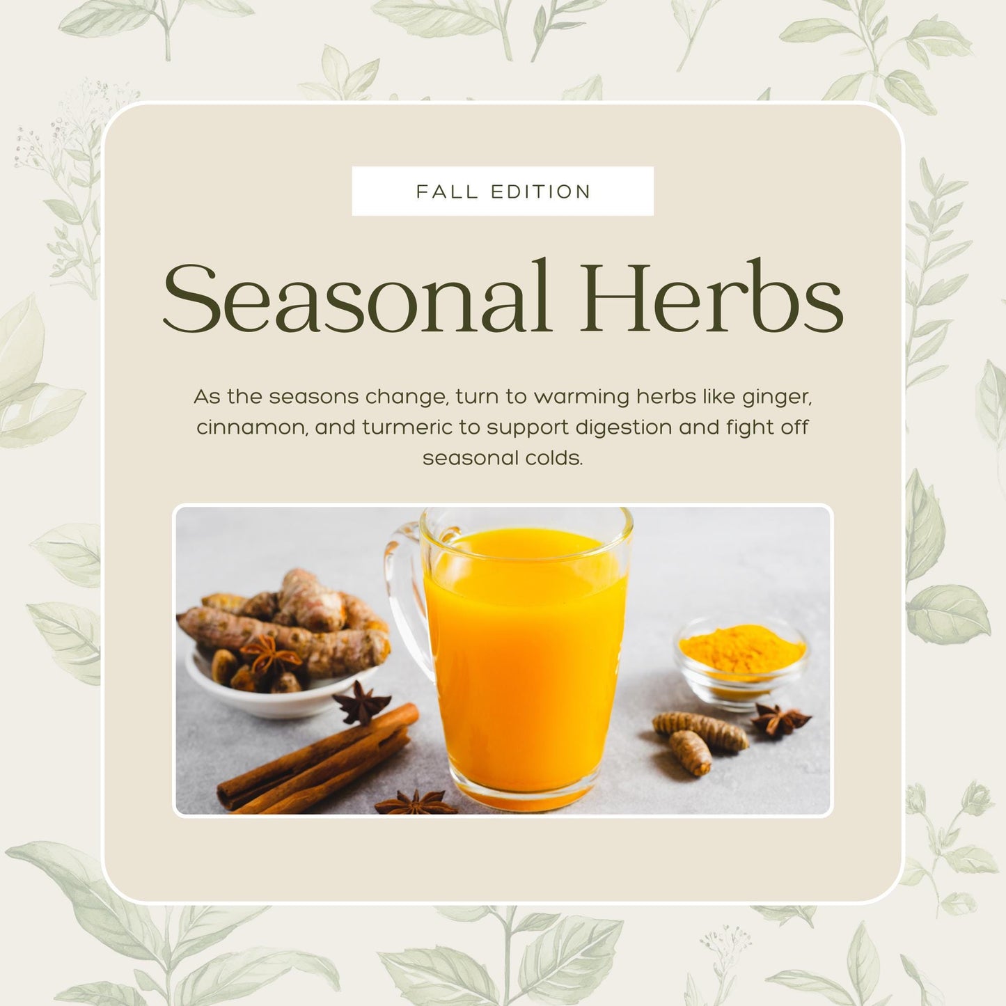 50 Herbal Wellness Social Media Templates | Social Media Planner, Analytics Guide and 800 Faceless Videos | Holistic Health, Natural - Social Canvas