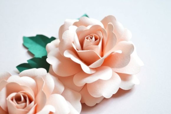 Garden Rose Paper Flower - Social Canvas