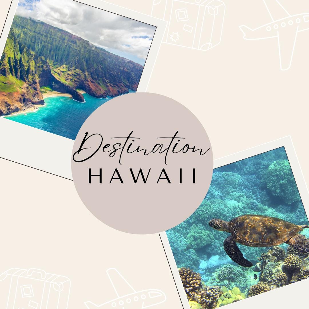 Travel Agent Social Media Canva Templates | Marketing Kit for Travel Agencies and Bloggers | Social Media Planner, Analytics Guide - Social Canvas