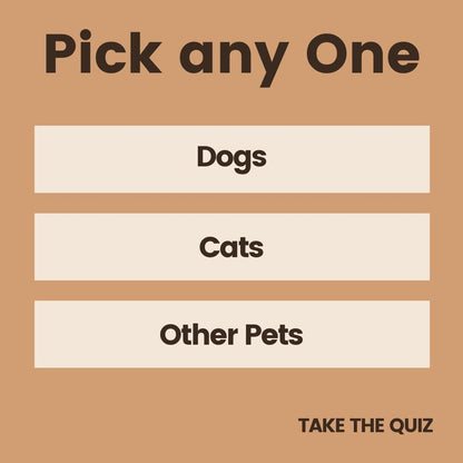 60 Pet Shop Canva Templates | Social Media Planner and Analytics Guide | Pet Stores and Animal Services | Pet Care and Promotion Posts - Social Canvas