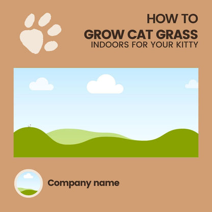 Pet Shop Canva Templates | Pet Stores and Animal Services | Pet Care and Promotion Posts | Social Media Planner, Analytics Guide - Social Canvas