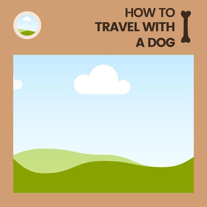 Pet Shop Canva Templates | Social Media Marketing Kit for Pet Stores and Animal Services | Pet Care and Promotion Posts | Digital Download - Social Canvas