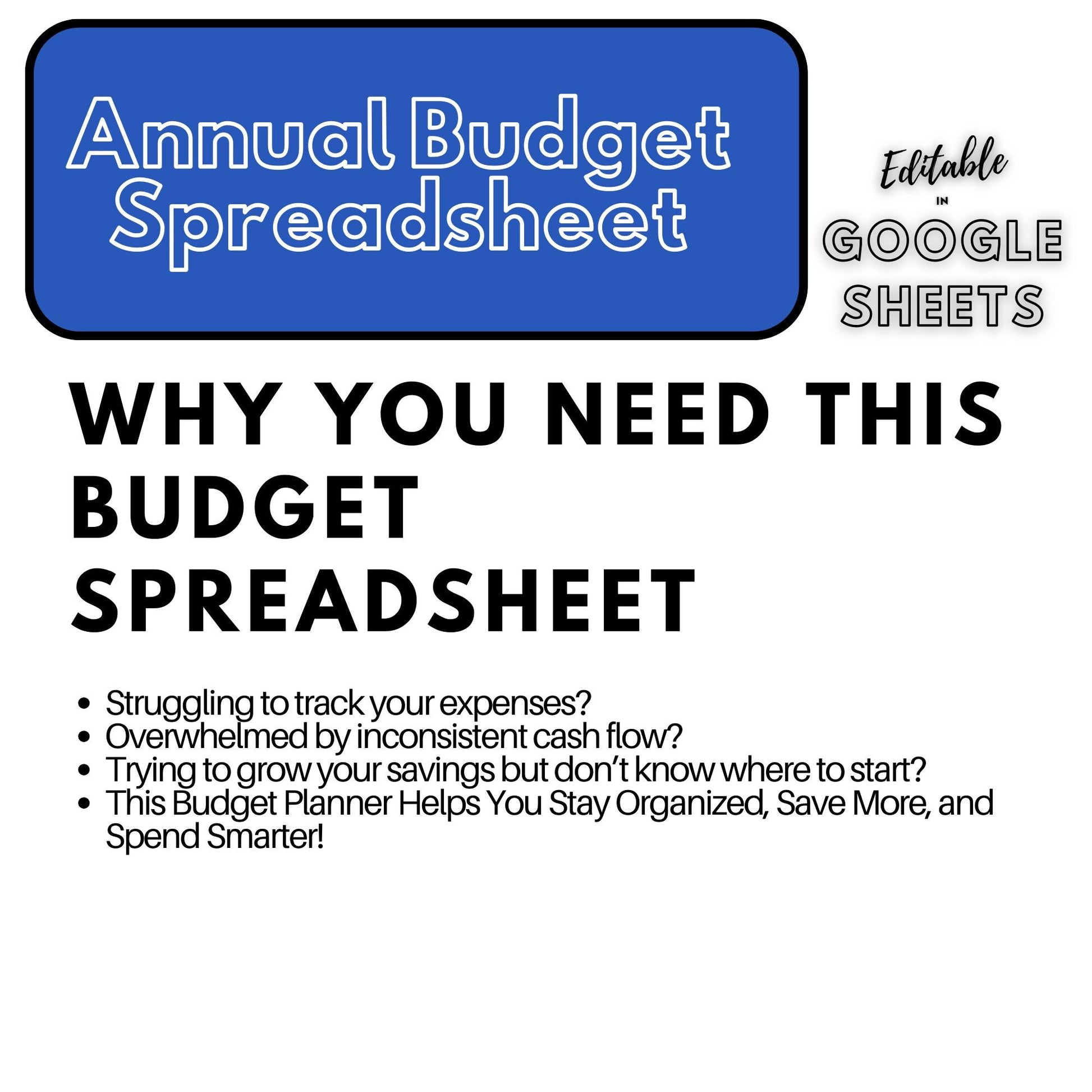 Annual Budget Spreadsheet | Editable Google Sheets Template | Business & Household Budget Planner | 2025 Financial Tracker - Social Canvas