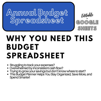 Annual Budget Spreadsheet | Editable Google Sheets Template | Business & Household Budget Planner | 2025 Financial Tracker - Social Canvas