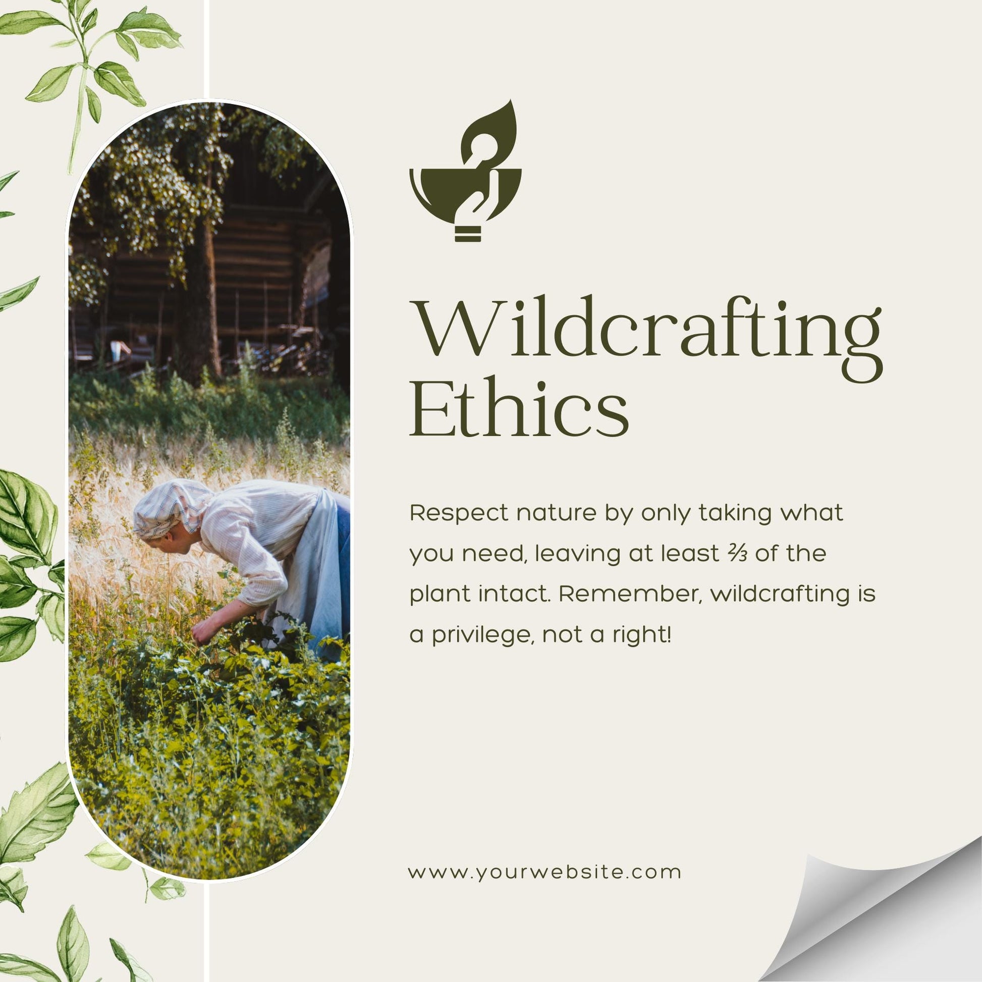 50 Herbal Wellness Social Media Templates | Editable Canva Templates | Holistic Health, Natural Remedies & Herbal Education - Social Canvas