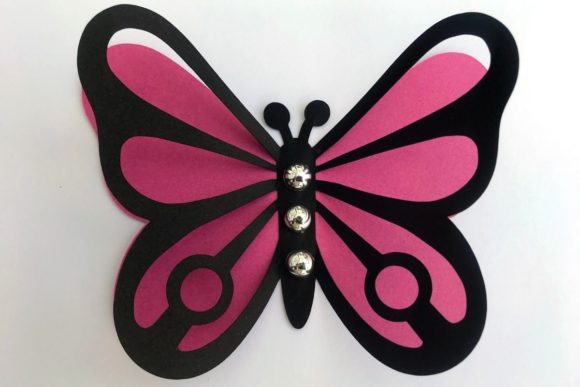 3D Layered Dragonflies and Butterflies - Social Canvas