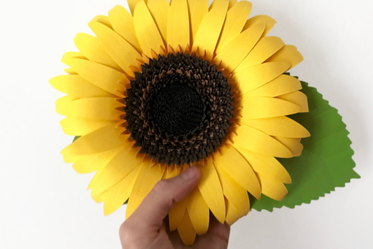3D Paper Sunflower - Social Canvas