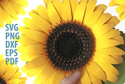 3D Paper Sunflower - Social Canvas