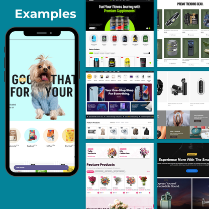 Premium Shopify Dropshipping Store - includes $50 in Facebook ads