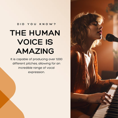 Musician Social Media Templates | Music | Artists, Bands & Producers | Social Media Planner, Analytics Guide and 800 Faceless Videos - Social Canvas