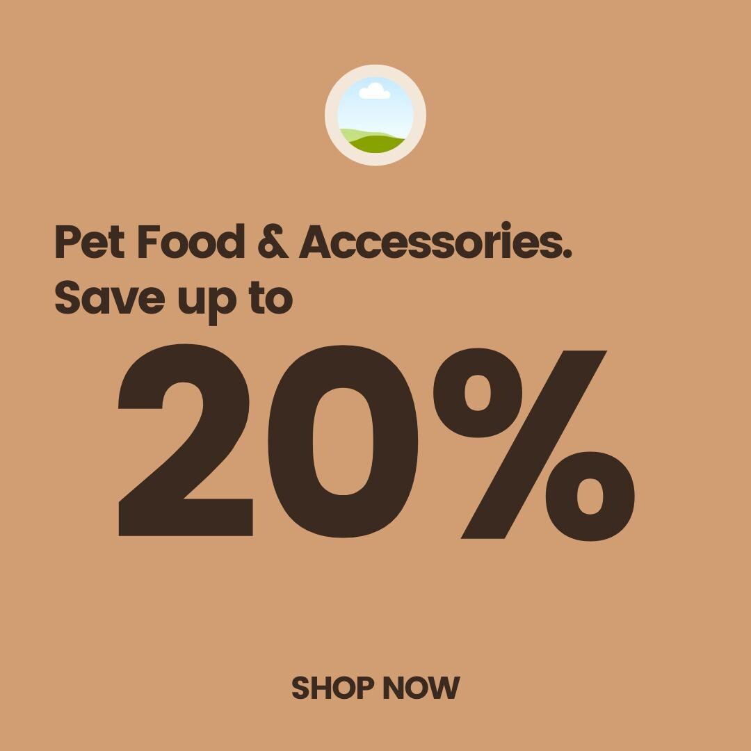 Pet Shop Canva Templates | Social Media Marketing Kit for Pet Stores and Animal Services | Pet Care and Promotion Posts | Digital Download - Social Canvas