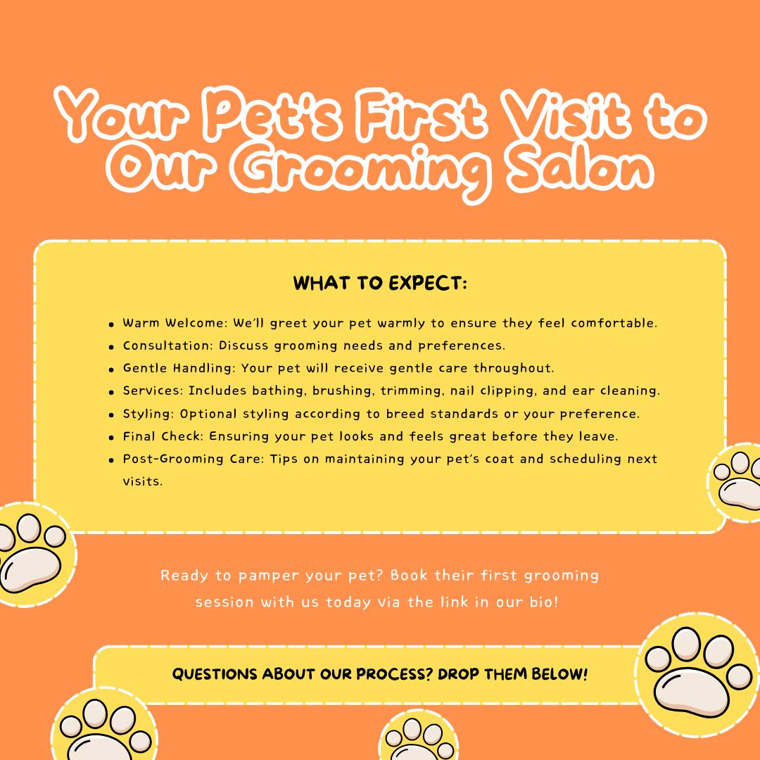 30 Pet Grooming Templates | Pet Care, Dog Grooming | Salon Marketing | Social Media Planner, Analytics Guide | 800 Faceless Videos - Social Canvas