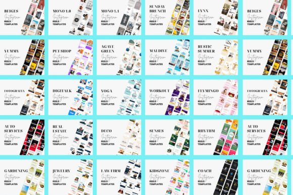 Instagram Reels & Story Templates – 730 Engaging Designs for Social  Media (MRR) - Social Canvas