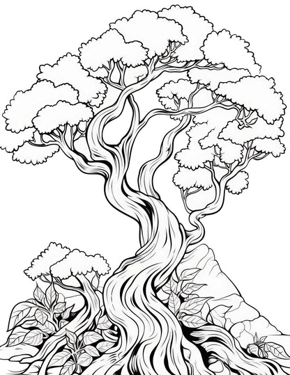 Minimalist Boho Coloring Book | 25-Page Canva Template with Bohemian Designs | Relaxing, Modern, and Aesthetic Coloring Pages - Social Canvas