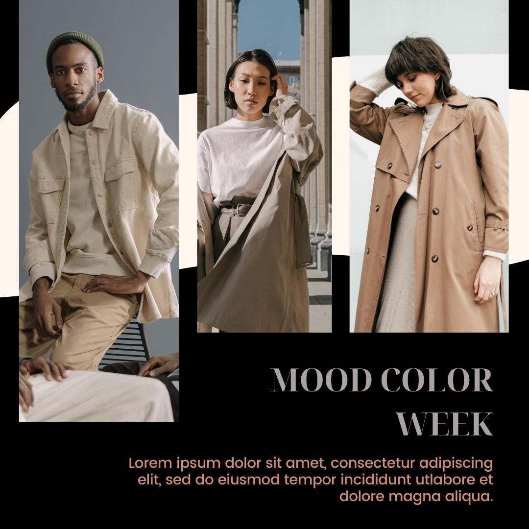 Fashion Social Media Canva 60 Templates | Clothing Brand and Boutique Marketing | Social Media Planner, Analytics Guide - Social Canvas