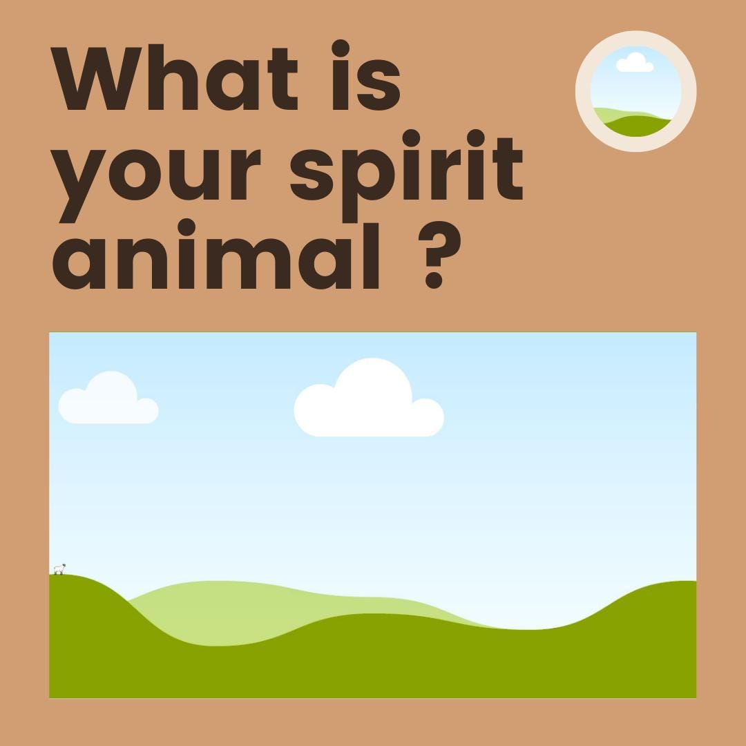 60 Pet Shop Canva Templates | Social Media Planner and Analytics Guide | Pet Stores and Animal Services | Pet Care and Promotion Posts - Social Canvas