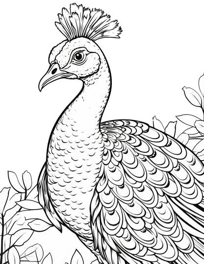 Groovy Coloring Book | 25-Page Canva Template with Retro & Psychedelic Designs | Funky, Wavy, and Abstract Coloring Pages | Digital Download - Social Canvas