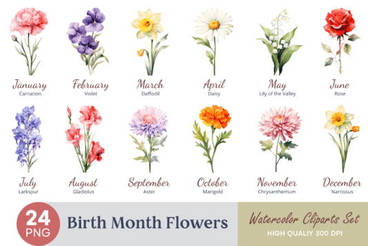 Birth Month Flower Clipart – Watercolor Floral PNGs for Each Month (MRR) - Social Canvas
