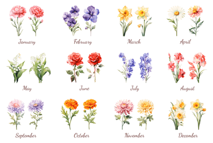 Birth Month Flower Clipart – Watercolor Floral PNGs for Each Month (MRR) - Social Canvas