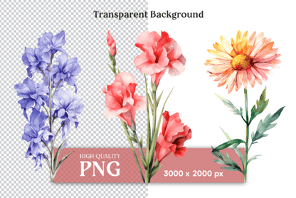 Birth Month Flower Clipart – Watercolor Floral PNGs for Each Month (MRR) - Social Canvas
