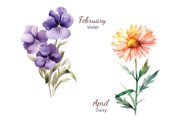 Birth Month Flower Clipart – Watercolor Floral PNGs for Each Month (MRR) - Social Canvas