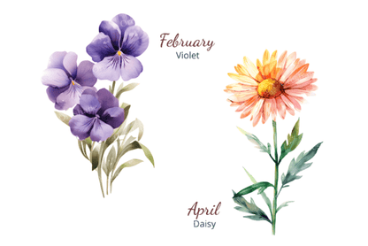 Birth Month Flower Clipart – Watercolor Floral PNGs for Each Month (MRR) - Social Canvas
