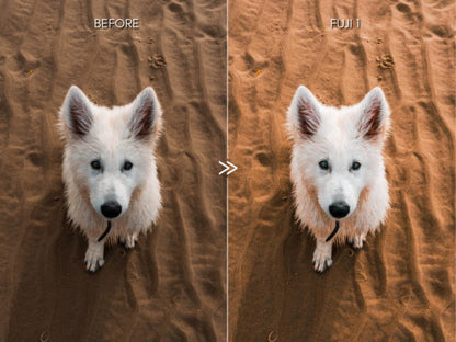 FUJIFILM-Inspired Lightroom Preset – Bright, Vibrant & Film-Look Tones