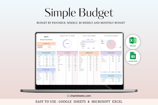 Budget Planner Excel | Rainbow Theme (MRR) - Social Canvas
