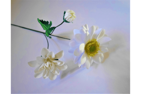 Daphne Flower Arrangement - Social Canvas