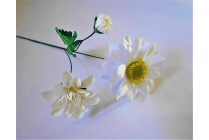 Daphne Flower Arrangement - Social Canvas