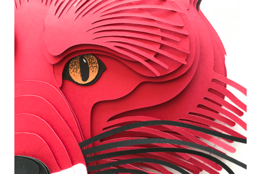 Cute Fox Clipart – Adorable Woodland Animal PNGs for Crafts & Prints (MRR) - Social Canvas