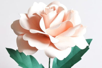 Garden Rose Paper Flower - Social Canvas
