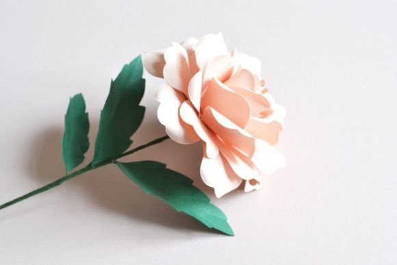 Garden Rose Paper Flower - Social Canvas