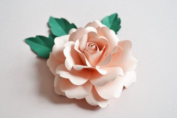 Garden Rose Paper Flower - Social Canvas