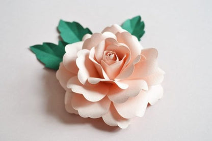 Garden Rose Paper Flower - Social Canvas