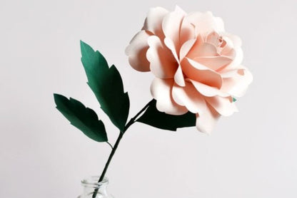 Garden Rose Paper Flower - Social Canvas