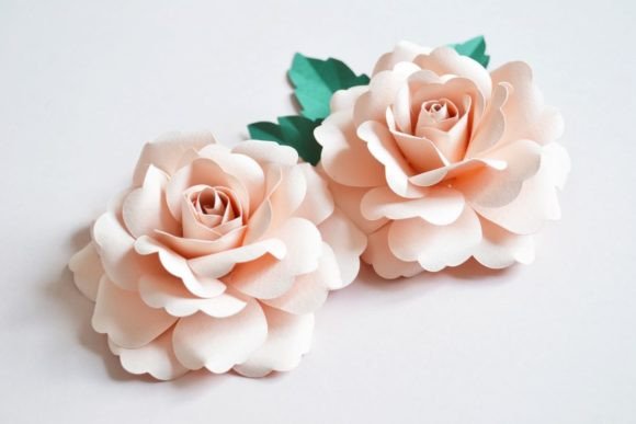 Garden Rose Paper Flower - Social Canvas