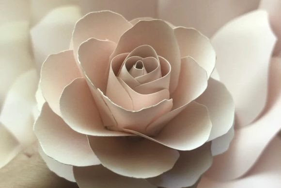 Rose Paper Flower - Social Canvas