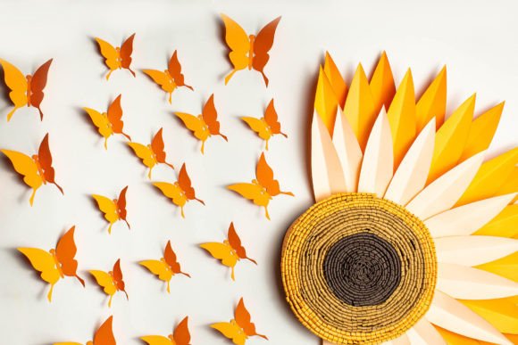 Sunflower & Butterfly Clipart – Half-Flower Aesthetic PNG Set (MRR) - Social Canvas