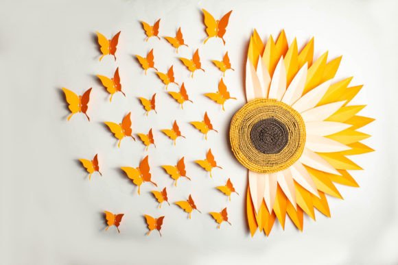 Sunflower & Butterfly Clipart – Half-Flower Aesthetic PNG Set (MRR) - Social Canvas