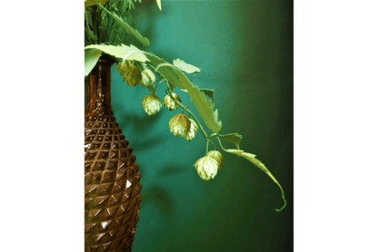 Virtues Foliage Flower Bouquet - Social Canvas