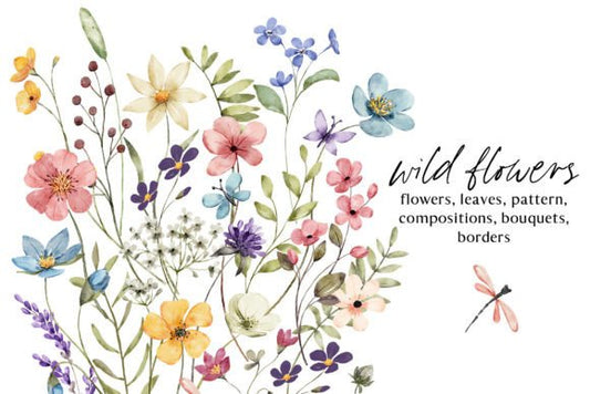 Wildflower & Butterfly Clipart Set with Dragonflies (MRR) - Social Canvas