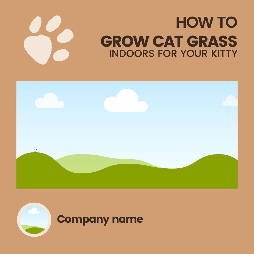 60 Pet Shop Canva Templates | Social Media Planner and Analytics Guide | Pet Stores and Animal Services | Pet Care and Promotion Posts - Social Canvas