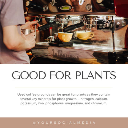 Coffee Shop Social Media Canva Templates | Café and Barista | Social Media Planner, Analytics Guide | 800 Faceless Videos - Social Canvas