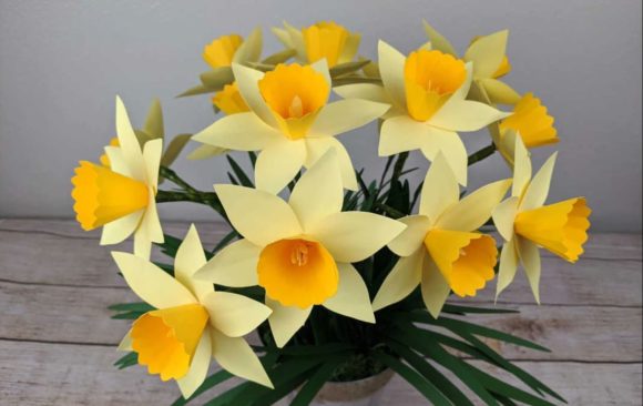 3D Paper Daffodil - Social Canvas