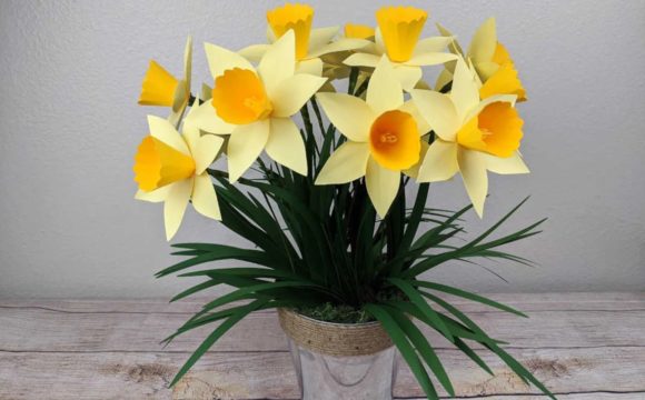 3D Paper Daffodil - Social Canvas