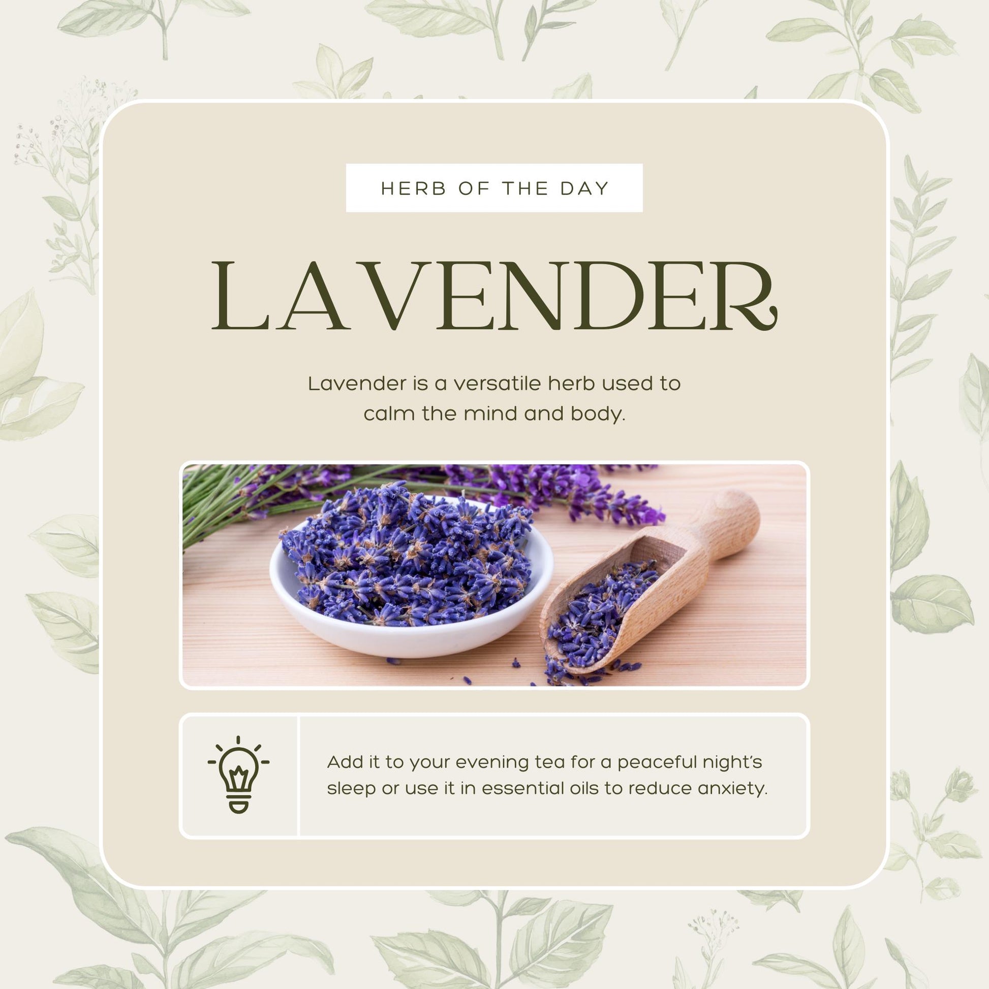 50 Herbal Wellness Social Media Templates | Social Media Planner, Analytics Guide and 800 Faceless Videos | Holistic Health, Natural - Social Canvas