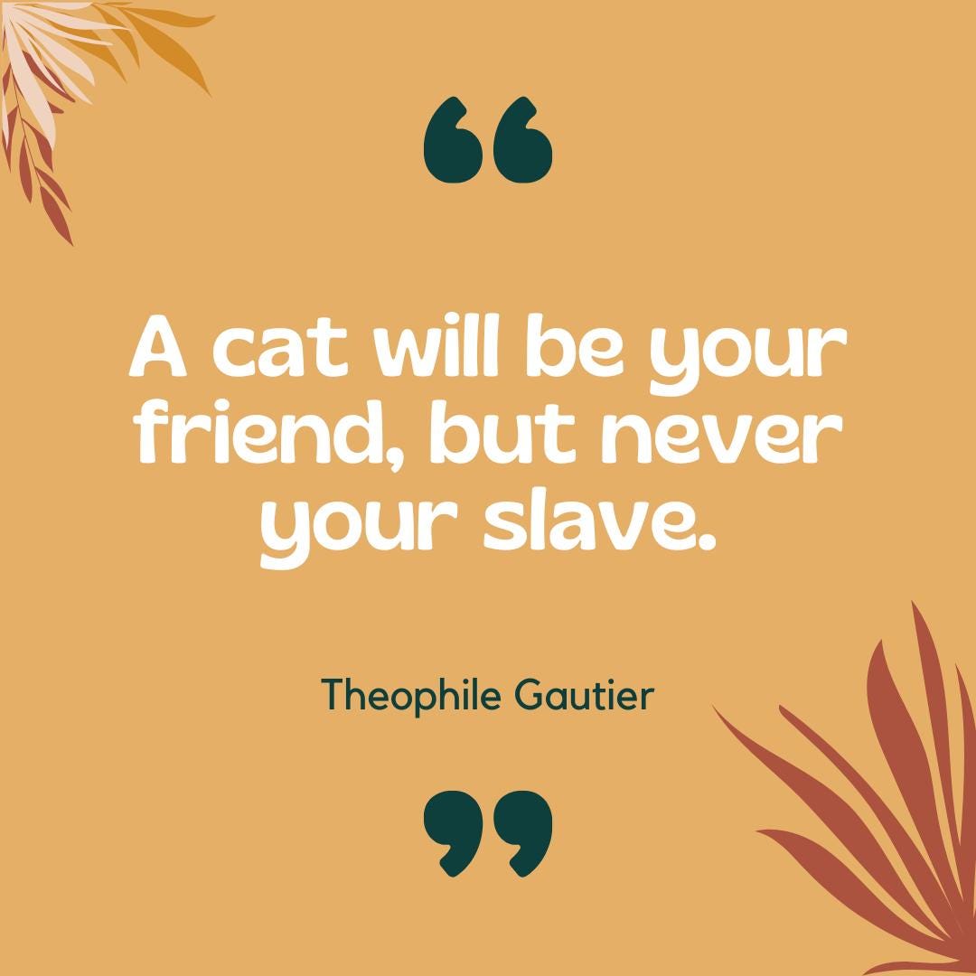 Pet Shop Canva Templates | Pet Stores and Animal Services | Pet Care and Promotion Posts | Social Media Planner, Analytics Guide - Social Canvas