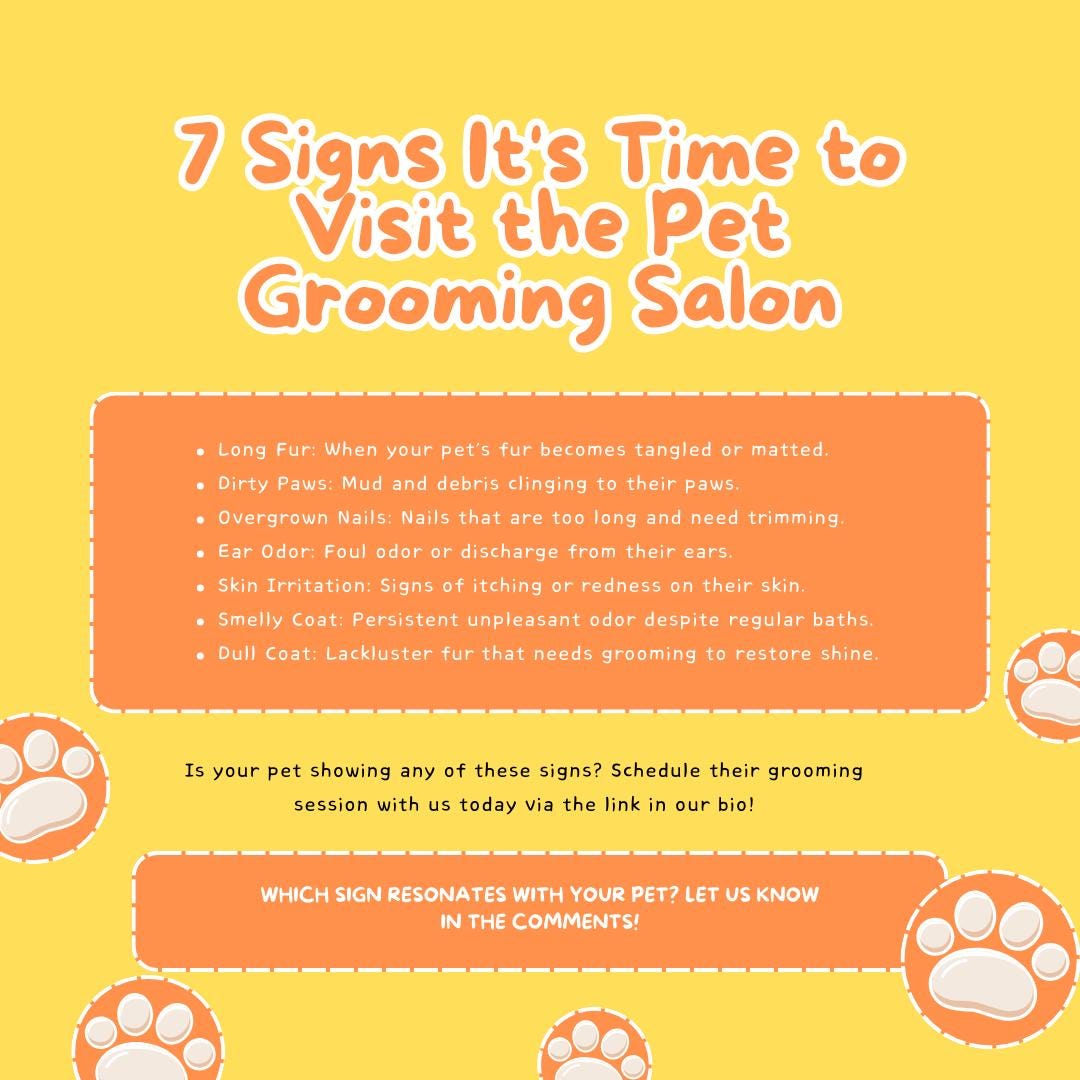 30 Pet Grooming Templates | Pet Care, Dog Grooming | Salon Marketing | Social Media Planner, Analytics Guide | 800 Faceless Videos - Social Canvas